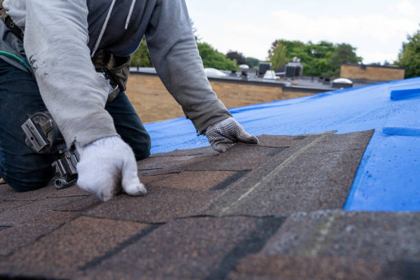 Best Flat Roof Repair Services  in South Barrington, IL